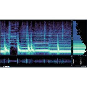 Excite Audio VISION 4X Upgrade from VISION 4X Lite Цифровые лицензии