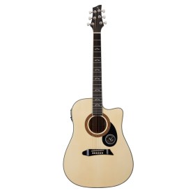 NG GT600-E NA Акустические гитары