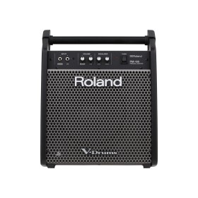 Roland PM-100 Клубная и концертная акустика