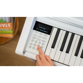 Kawai CA501 PSW Цифровые пианино
