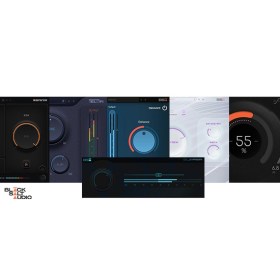 Black Salt Audio Black Salt Audio Bundle Цифровые лицензии