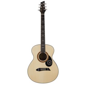 NG GT300 NA Акустические гитары