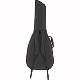 Fender Fac-610 Classical Gig Bag Чехлы и кейсы для гитар