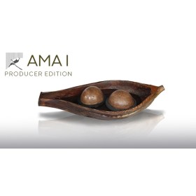 Sounds of the Earth AMA I Producer Edition Цифровые лицензии