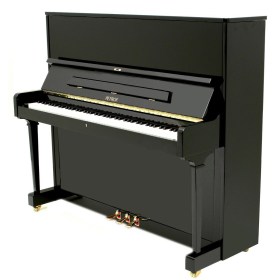 Petrof P 125F1 (0801) Акустические пианино
