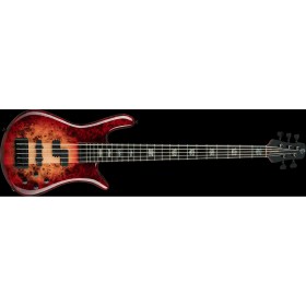 Spector Euro5 CST Natural Red Burst Gloss Различное Музыкальное Оборудование