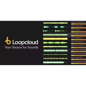 Loopcloud Plans Loopcloud 1-Month Artist Plan Цифровые лицензии