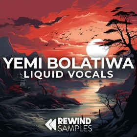 Rewind Samples Yemi Bolatiwa: Liquid Vocals Цифровые лицензии