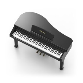 Ringway GDP1000L polish  black Цифровые пианино