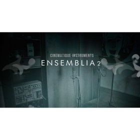 Cinematique Instruments Ensemblia Percussive Цифровые лицензии