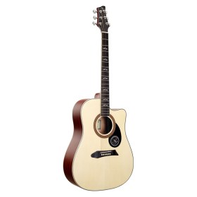 NG GT600 NA Акустические гитары