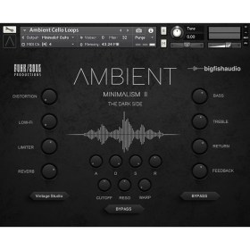 Big Fish Audio Ambient Minimalism 2: The Dark Side Цифровые лицензии