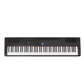 Rockdale Keys RDP-4088 black Цифровые пианино