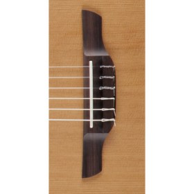 Takamine Pro Series 3 P3FCN Классические гитары