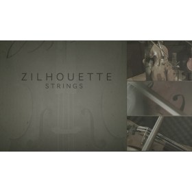 Cinematique Instruments Zilhouette Strings Цифровые лицензии