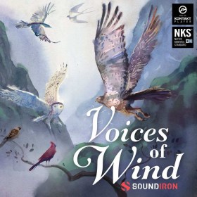 Soundiron Voices of Wind Collection Цифровые лицензии