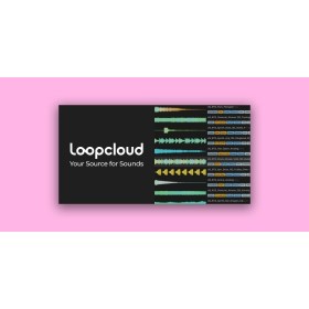 Loopcloud Plans Loopcloud 12-Month Studio Plan Цифровые лицензии