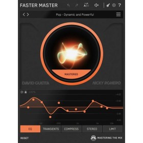 Mastering The Mix FASTER MASTER Цифровые лицензии