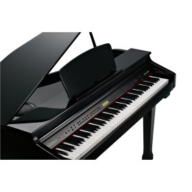 Kurzweil KAG100 EP Различное Музыкальное Оборудование