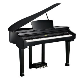 Kurzweil KAG100 EP Различное Музыкальное Оборудование