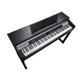 Kurzweil CUP P1 SR Различное Музыкальное Оборудование
