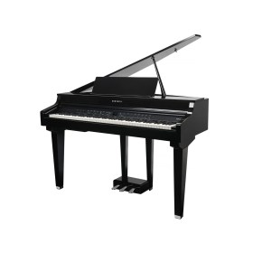 Kurzweil CUP G1W BP Различное Музыкальное Оборудование