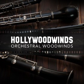 Cinesamples Hollywoodwinds Цифровые лицензии