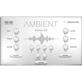 Big Fish Audio Ambient Minimalism Цифровые лицензии