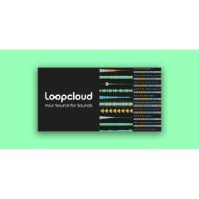 Loopcloud Plans Loopcloud 12-Month Professional Plan Цифровые лицензии