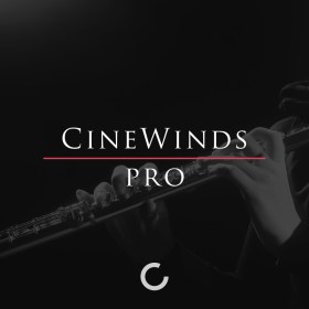 Cinesamples CineWinds Pro Цифровые лицензии