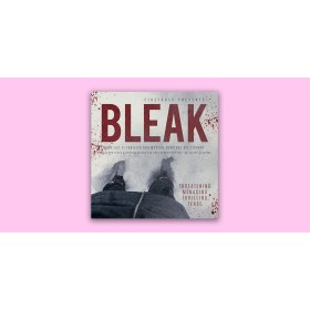 Cinetools Bleak Цифровые лицензии
