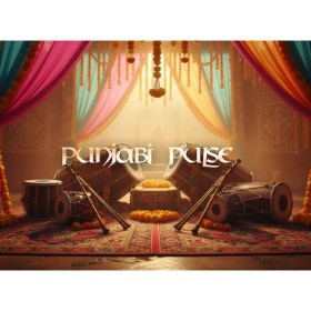 Pitch Innovations Sonic Atlas Expansion: Punjabi Pulse Цифровые лицензии