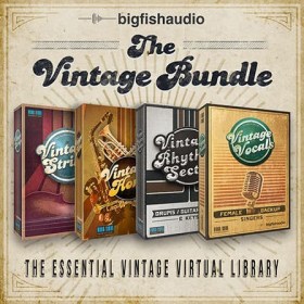 Big Fish Audio The Vintage Bundle Цифровые лицензии