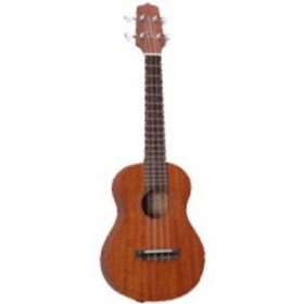 Takamine jasmine gu-c1 concert ukulele mahogany w/case Народные инструменты