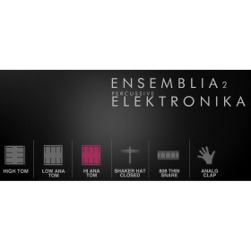 Cinematique Instruments Ensemblia 2 Elektronika Цифровые лицензии