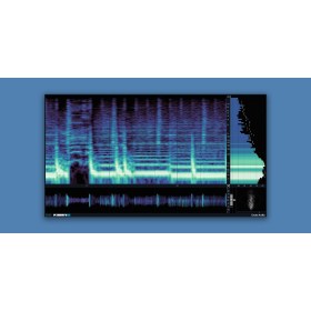 Excite Audio VISION 4X Цифровые лицензии