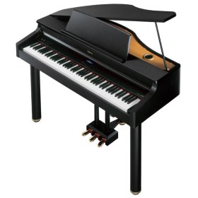 Roland RG-1F-SB Цифровые пианино
