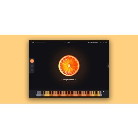 ZAK Sound Orange Dreams 2 Pro Цифровые лицензии