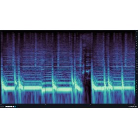Excite Audio VISION 4X Lite Цифровые лицензии