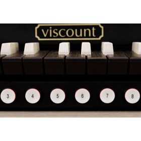Viscount Organs DOMUS P33 Dark Oak Lam. with TP8LW Различное Музыкальное Оборудование