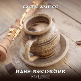 Have Audio Bass Recorder Цифровые лицензии