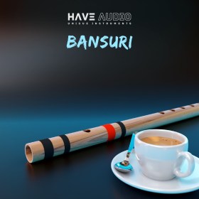 Have Audio Bansuri Bundle Цифровые лицензии